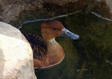 photo 746318