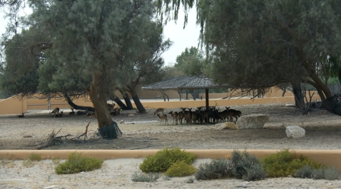 photo 751243