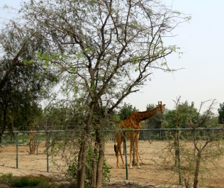 photo 751249