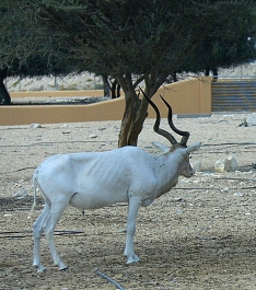photo 755589
