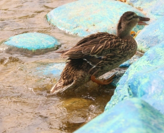 photo 762714