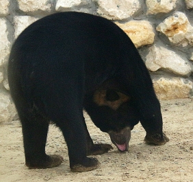 photo 766820