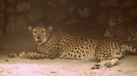 photo 766821