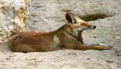 photo 766822