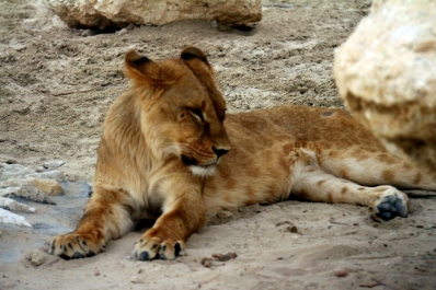 photo 770966