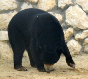 photo 770969
