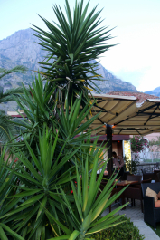 photo 1006156