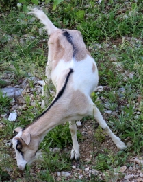 photo 954761