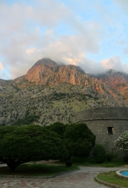 photo 873739