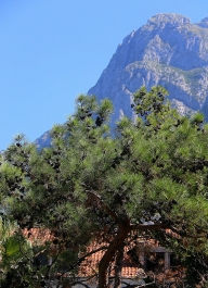photo 878154