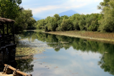 photo 940635