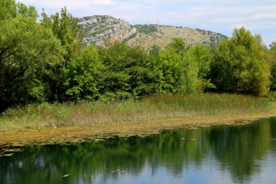 photo 940636