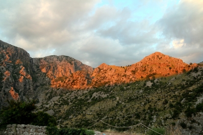 photo 978197