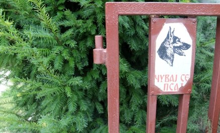 photo 910751