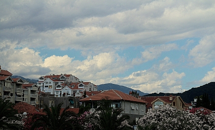 photo 910757
