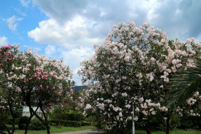 photo 910759