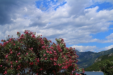photo 913315