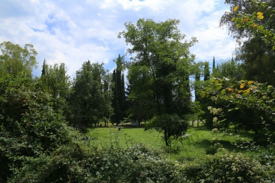 photo 914389