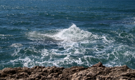 photo 941087