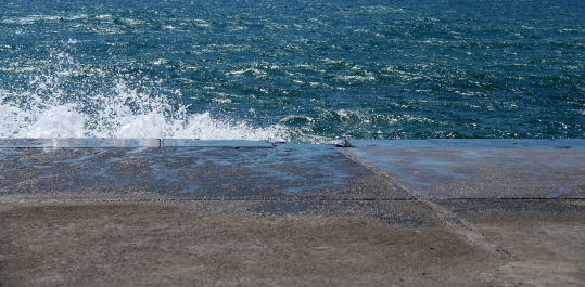 photo 941089