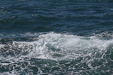 photo 941623
