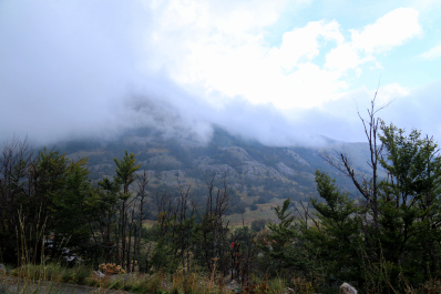 photo 1026902