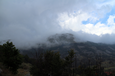 photo 1026905