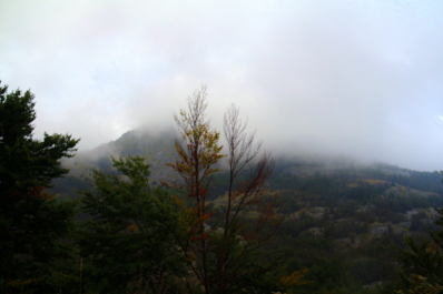 photo 1028642