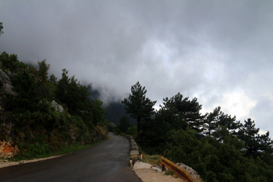 photo 1041176