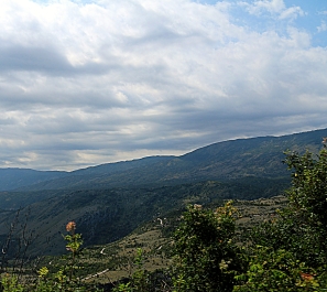 photo 911041