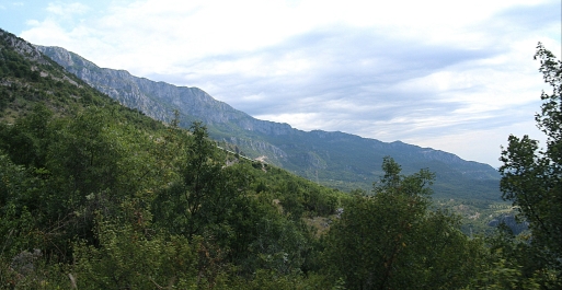 photo 918212