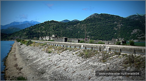 photo 919730