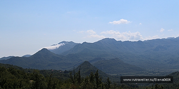 photo 919732