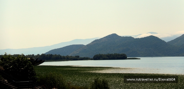 photo 920332