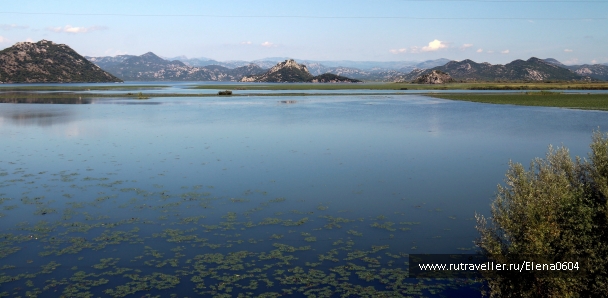 photo 920335