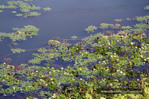 photo 920339