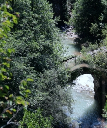 photo 956011
