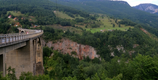 photo 973393