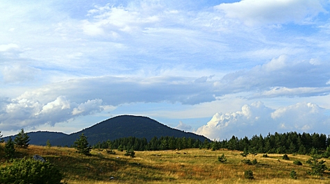 photo 975715