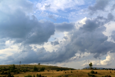 photo 978216