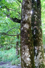 photo 962654