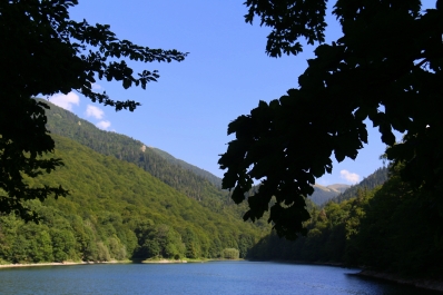 photo 962655