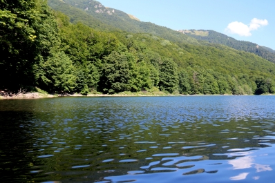 photo 963776
