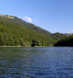 photo 963779