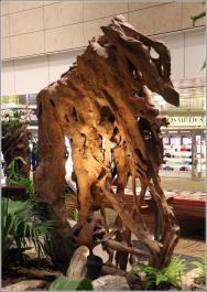 photo 1114307