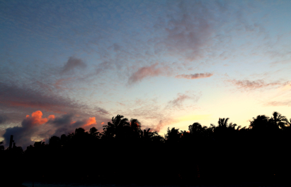 photo 1131570