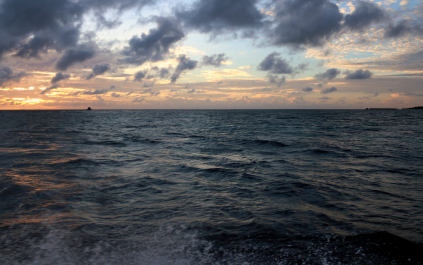 photo 1154925