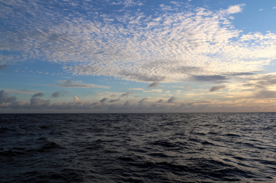 photo 1158040
