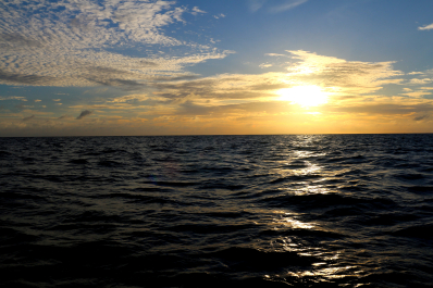 photo 1163603