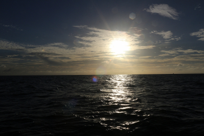 photo 1167997
